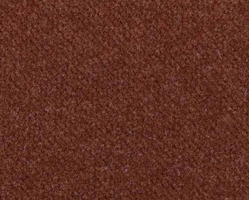 amii-1087.jpg